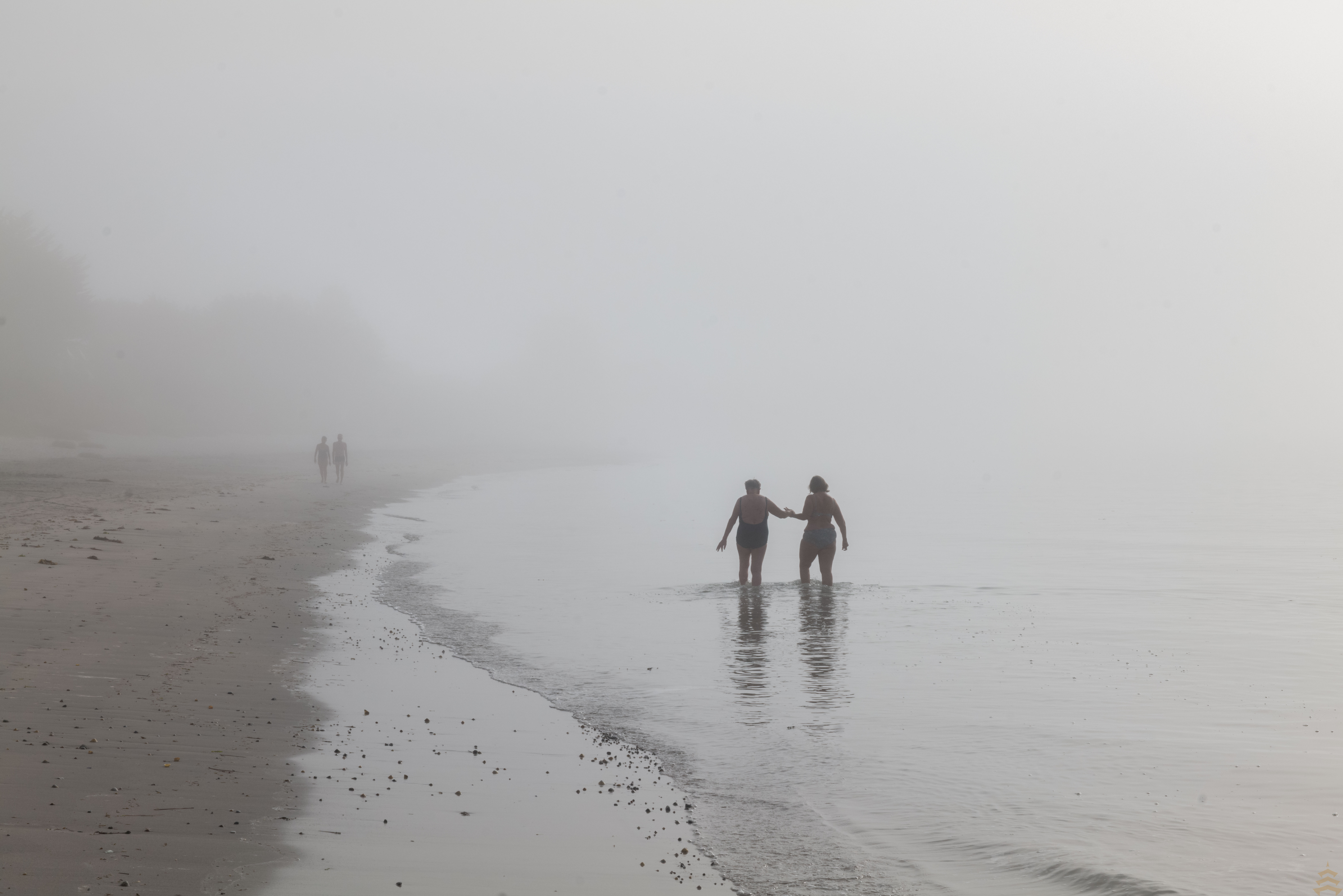 Walking through the fog of life